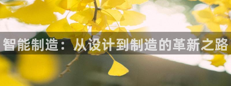 万事达娱乐P妙441200