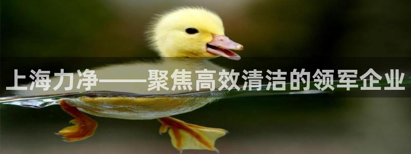 万事娱乐主管年薪多少