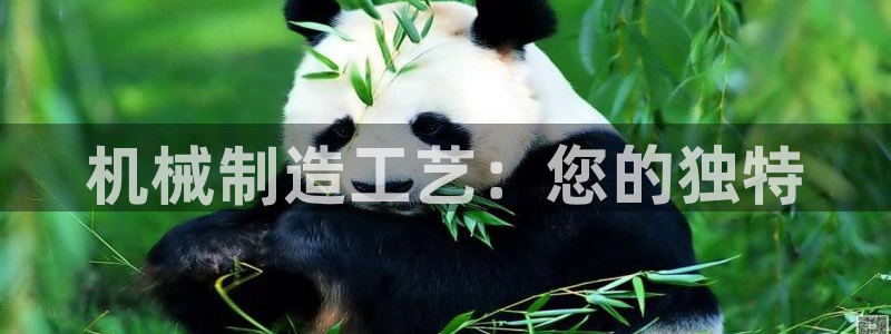 万事娱乐手机客户端下载