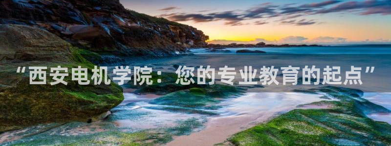 万事达娱乐 75505