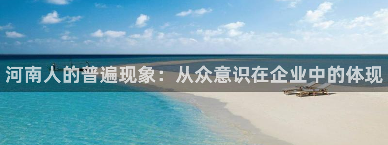 万事娱乐 找86555