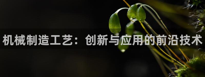 万事达娱乐指尖年