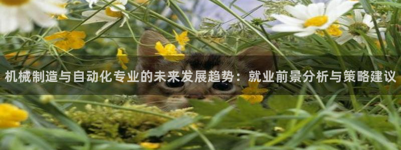 万事达娱乐指尖发