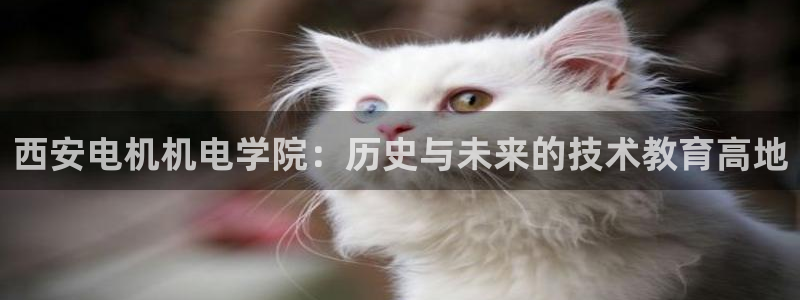 万事娱乐联37997