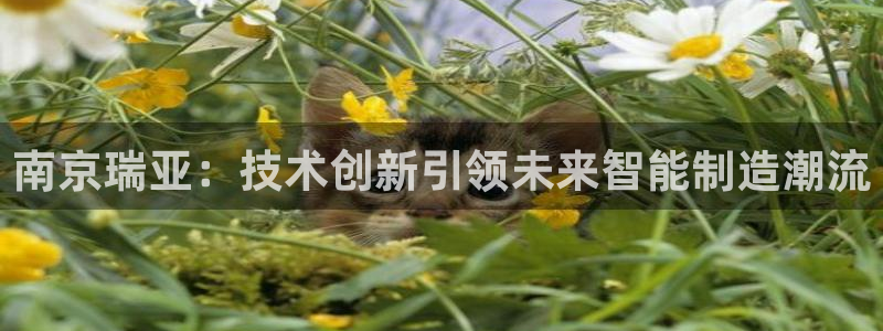 万事娱乐若七九九