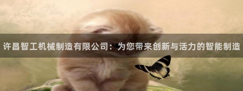 万事娱乐主管年薪