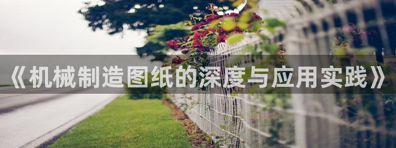 万事达娱乐指尖之