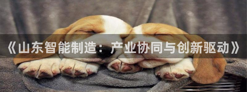 娱乐万事屋张宇