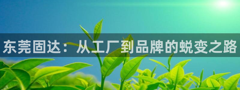 万事娱乐主管薪资结构