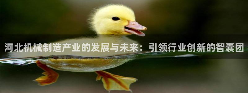 万事娱乐手机客户端登录