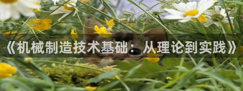 万事娱乐代理怎么样