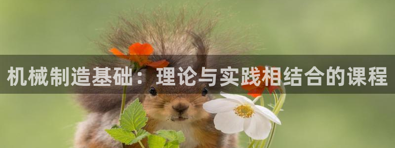 万事娱乐网址多少