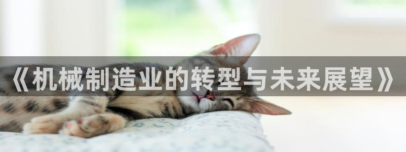 万事娱乐登录首页