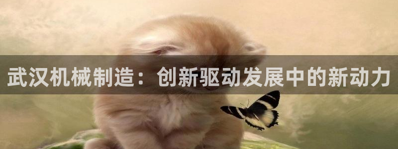 万事达娱乐经纪公司